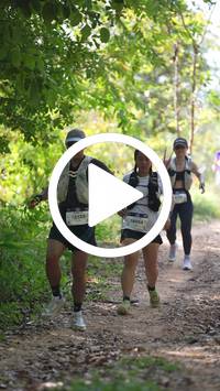 BIB:  <button type="button" onclick="openModal(27638617)" class="btn btn-primary btn-sm float-right" data-toggle="modal" data-target=".modal-high-quality">
                <i class="fa fa-download"></i> Download
                </button>